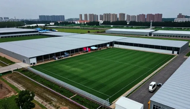 技术开发在业务转型中的关键作用与使用建议